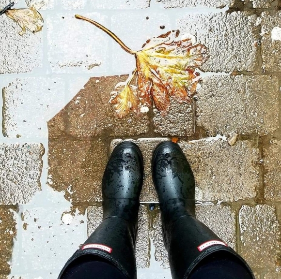 Meet your Posher, Erin - Picture 2 of 4